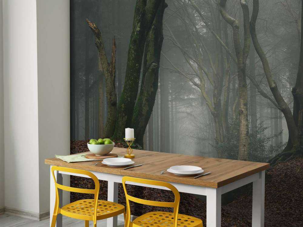 Sti gennem mystisk skov