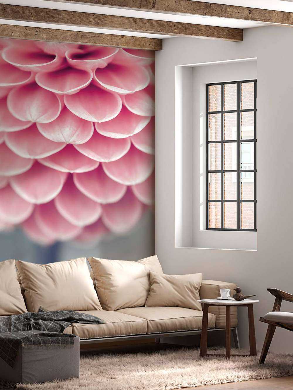 Dahlia i nærbillede
