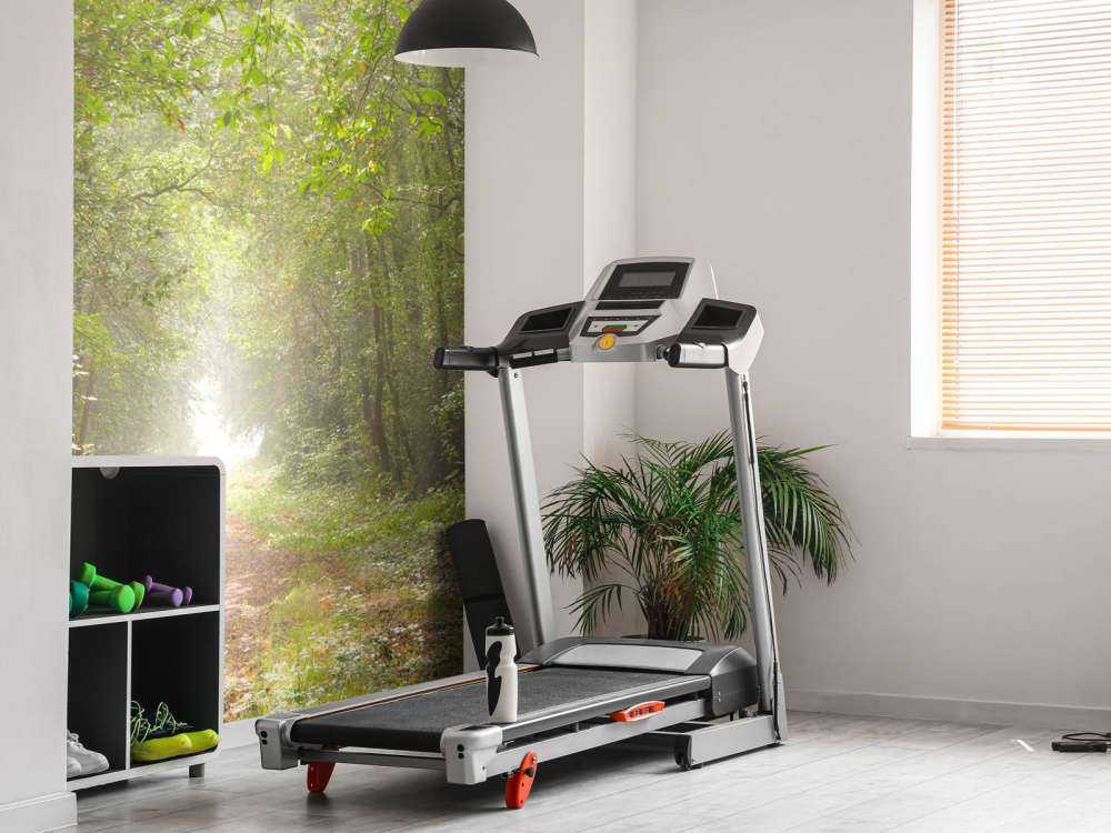 Sti gennem tåget skov