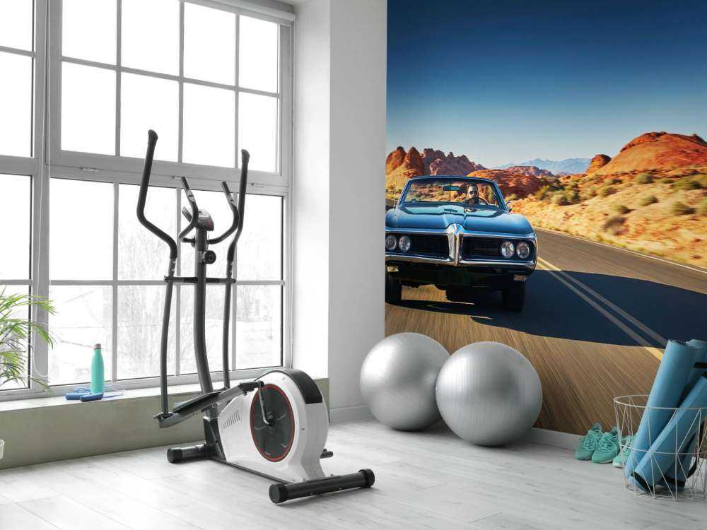 Muskelbil i et amerikansk landskab