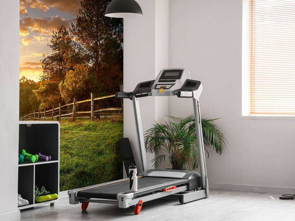 Græs ved solnedgang