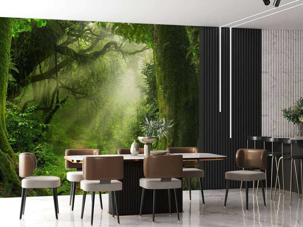 Jungel med solstråler