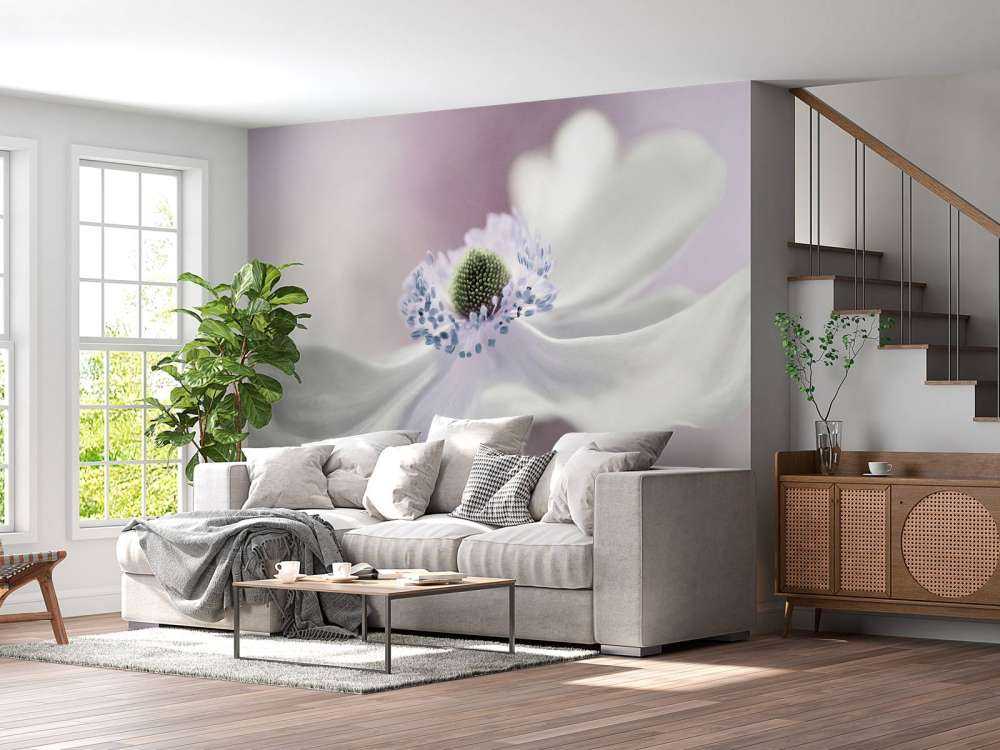 Anemone breeze