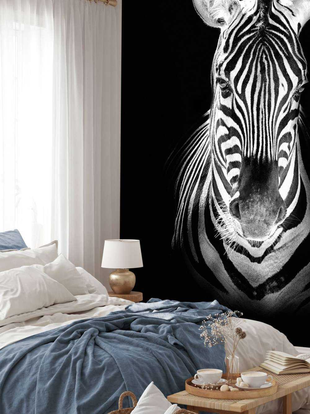 Nærbillede af zebra sort og hvid