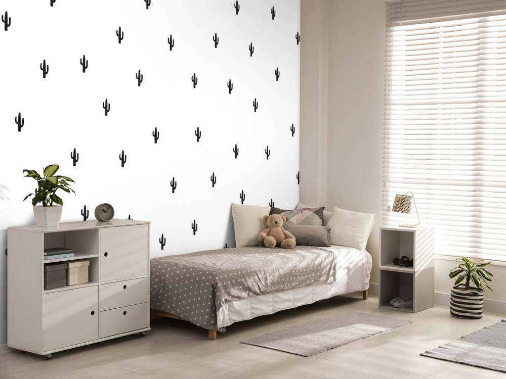 Kaktusar i svartvitt