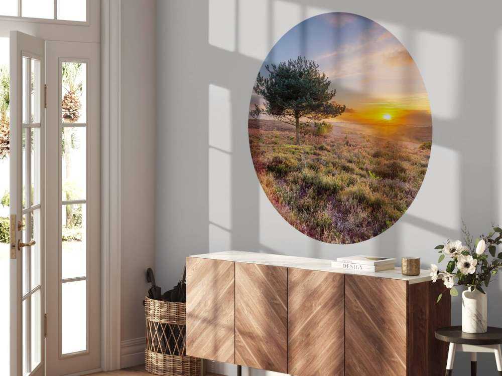 Solnedgång på heden