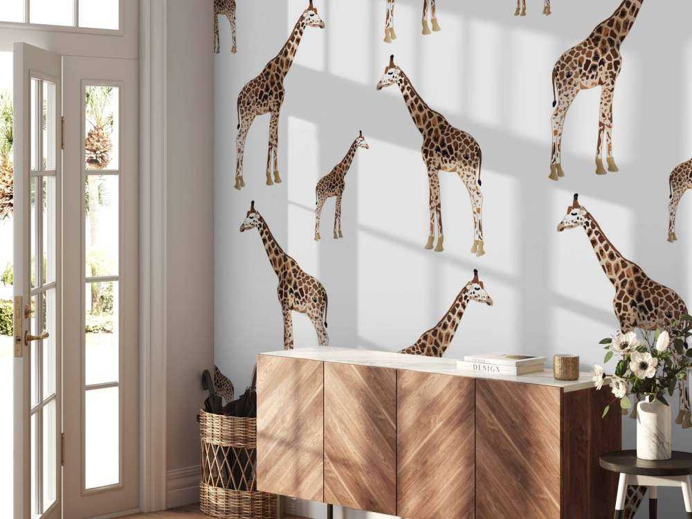 Giraffer