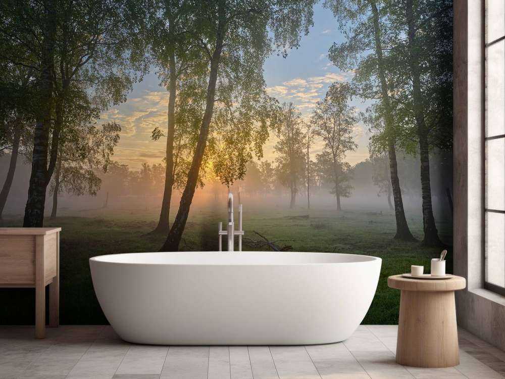 Soluppgång vid björkarna