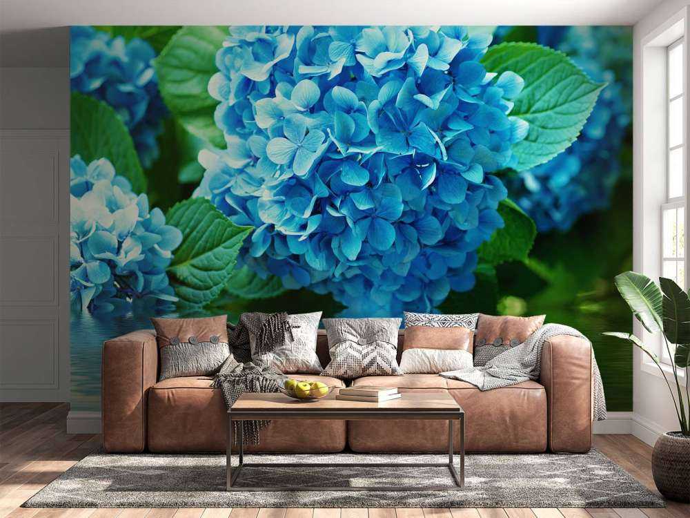 Hortensia i vatten