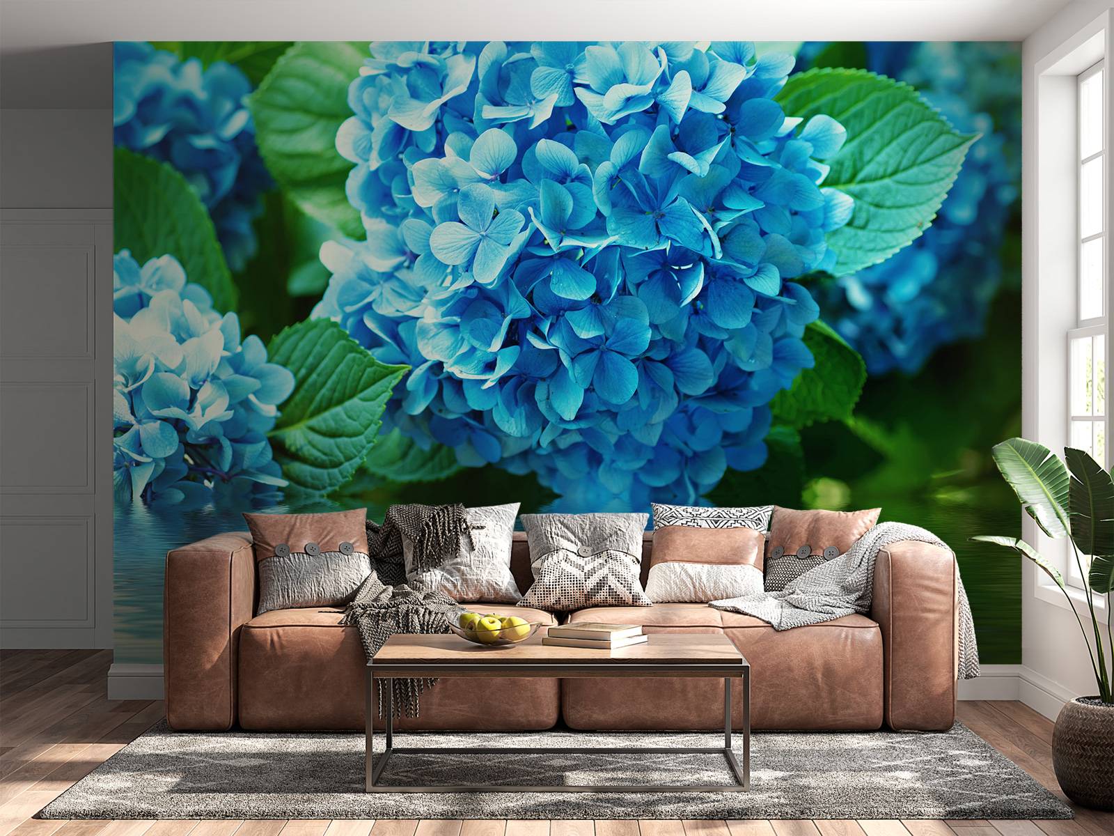 Hortensia i vatten