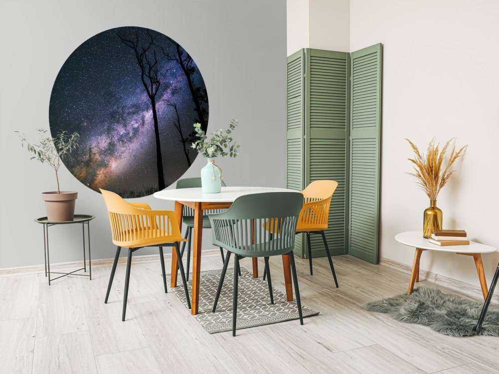 Stjärnor mellan träden