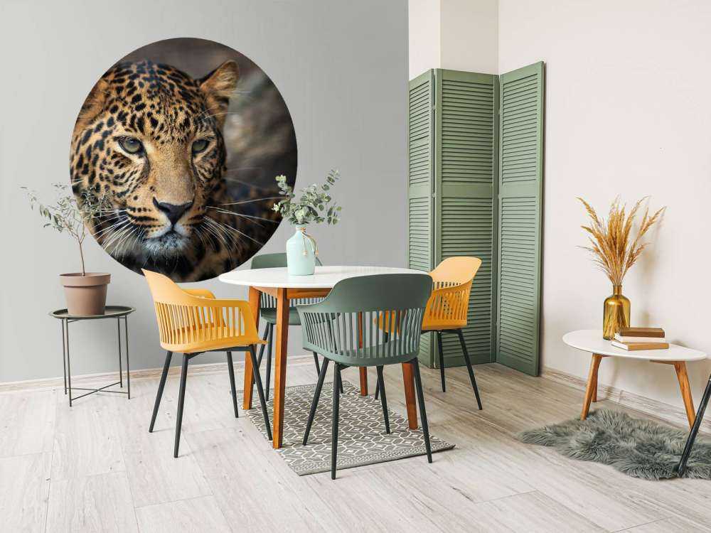 Närbild på en leopard