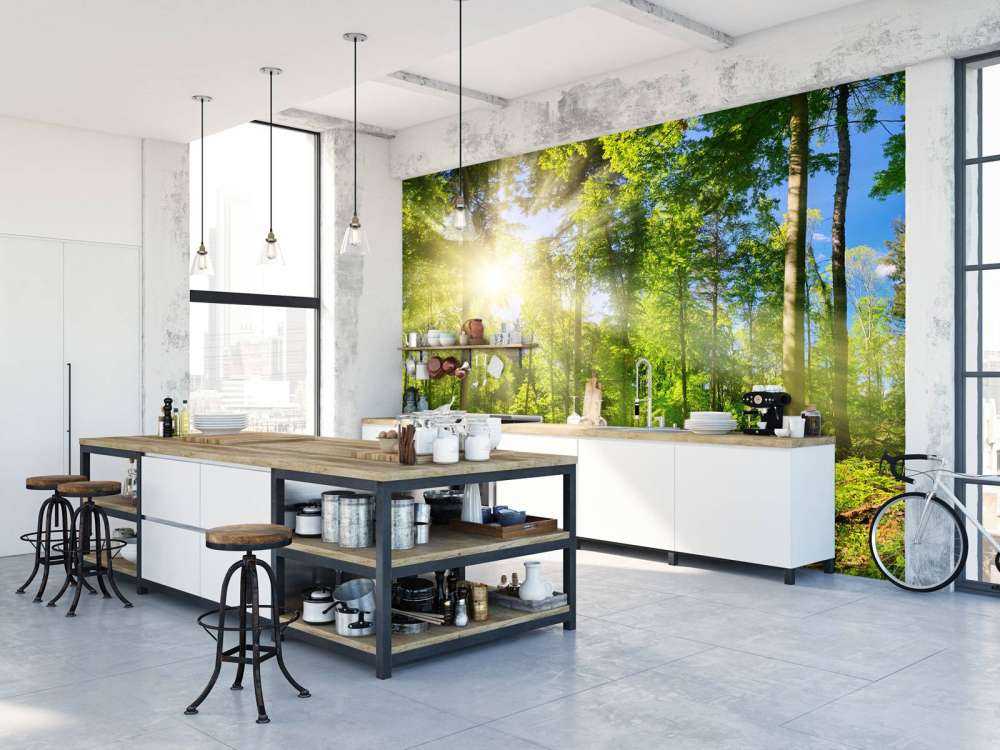 Skog med solstrålar