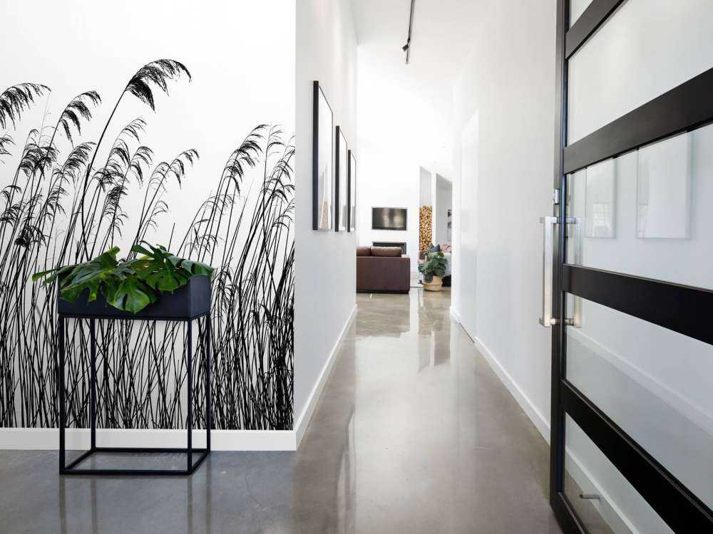 Rörflen längs vattnet i svartvitt