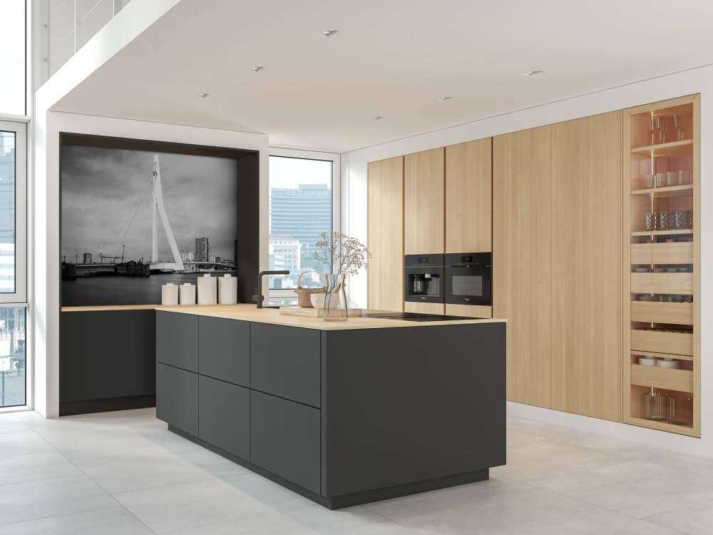 Erasmus bro Rotterdam