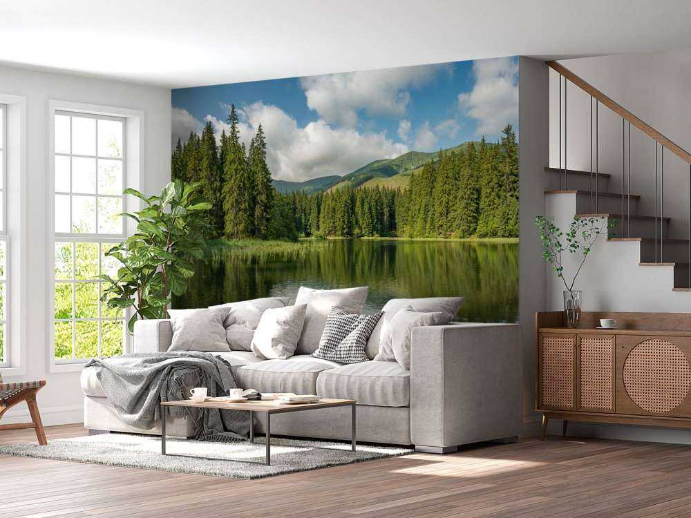 Sjön i skogen