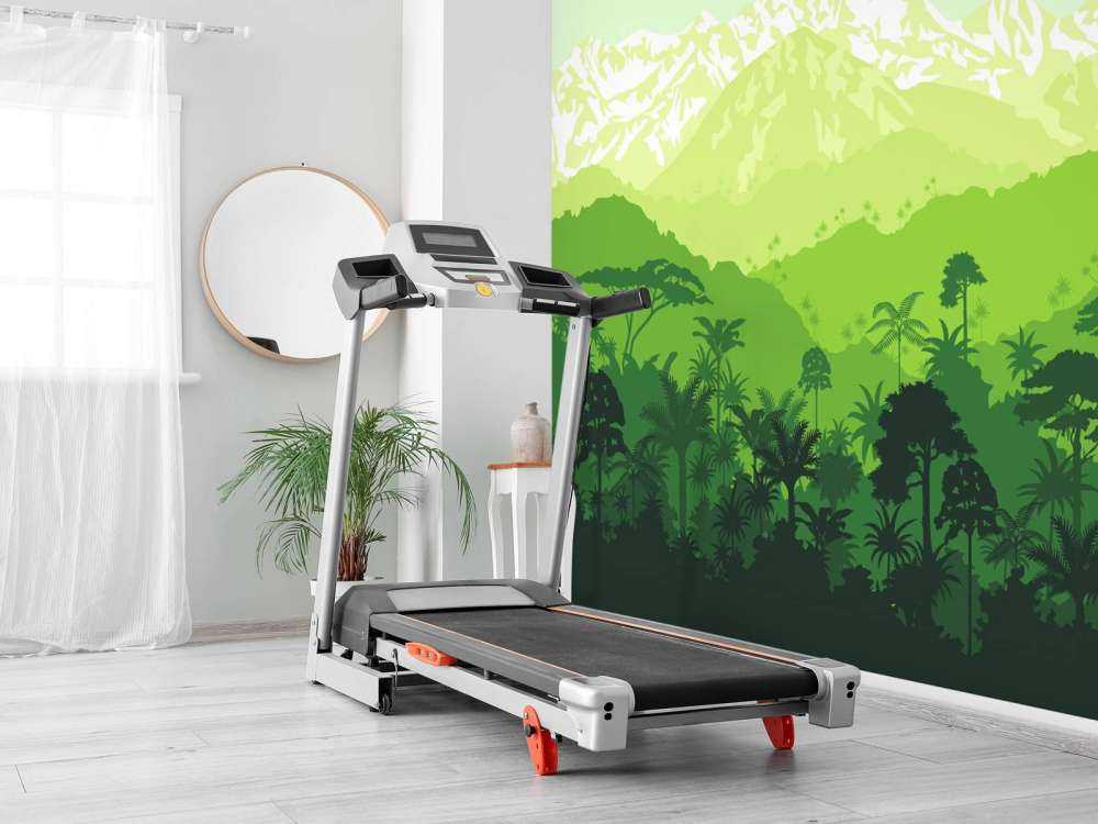 Djungelträd och höga berg