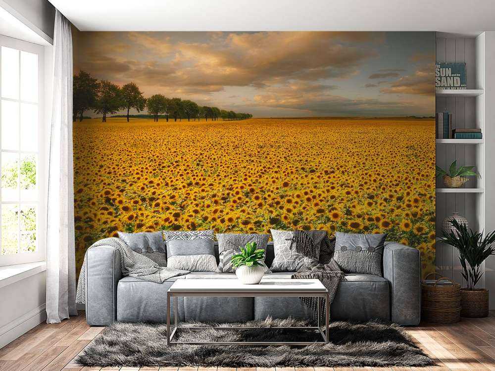 Sunflowers