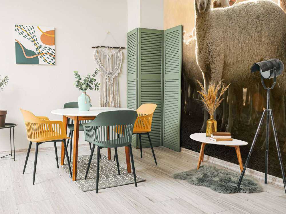 Fårflock med gyllene timme