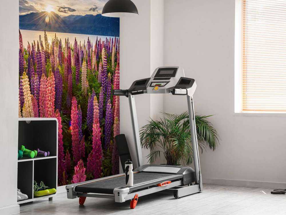 Lupins lakeside