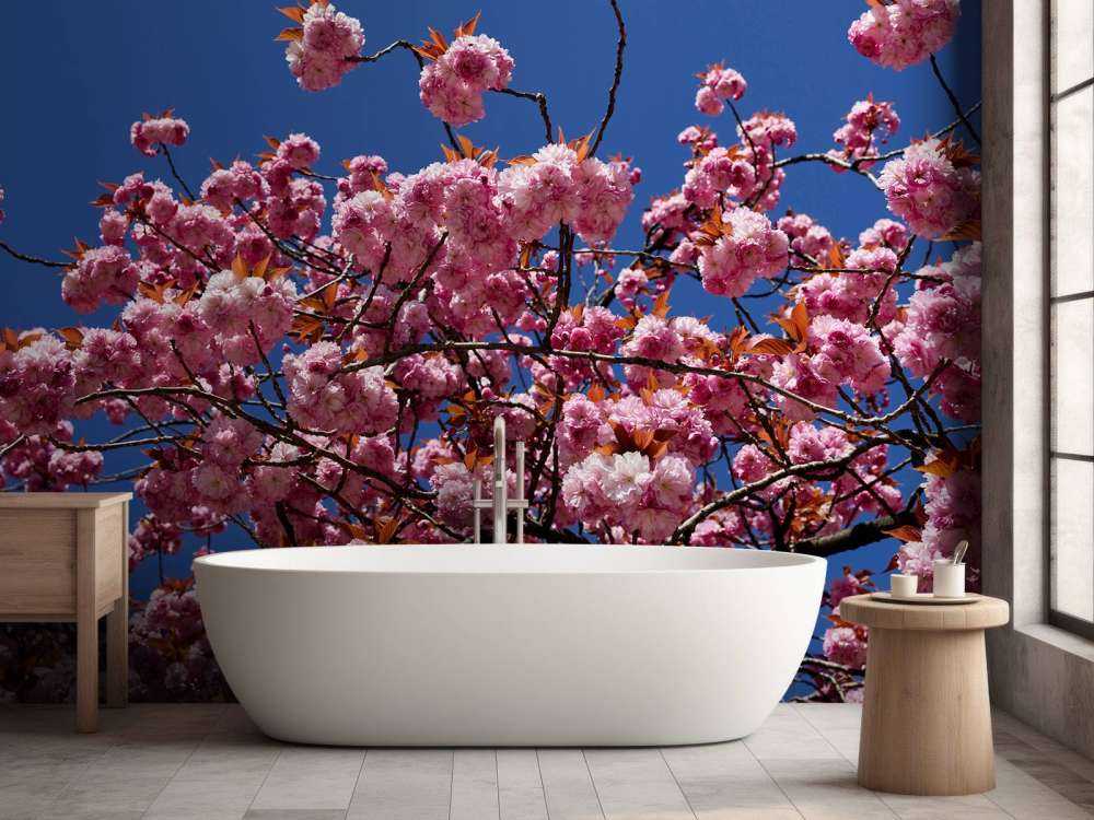 Rosa blomma med blå himmel