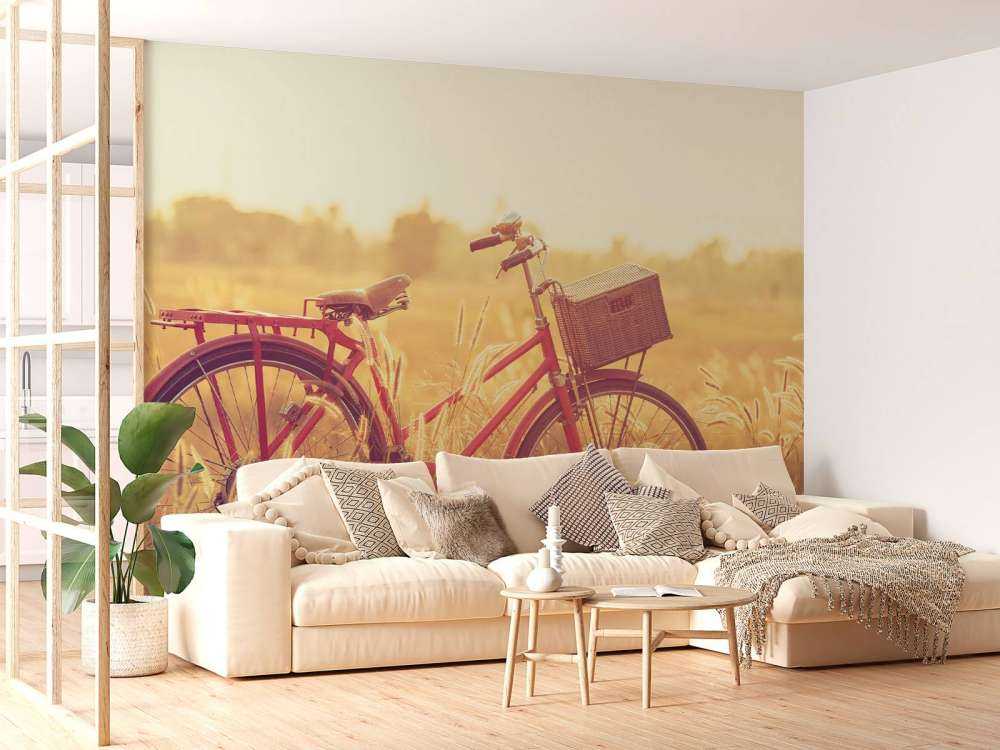 Vintage cykel
