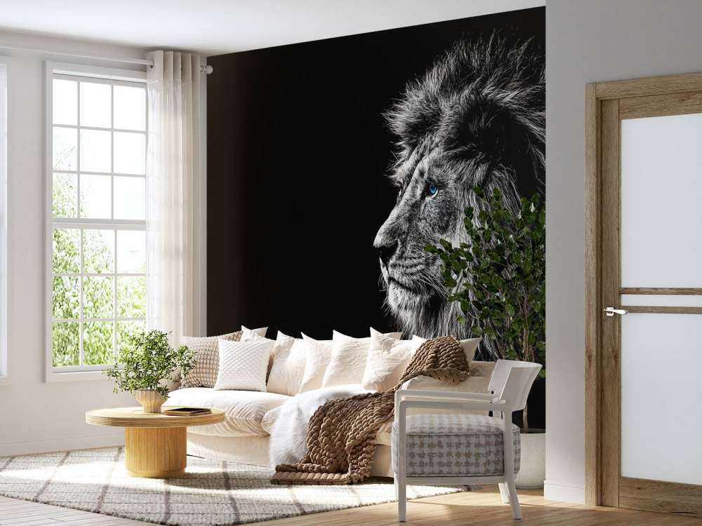 Lejon med blå ögon