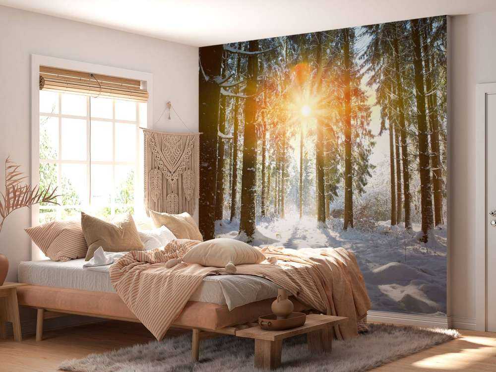 Solljus i vinterskog