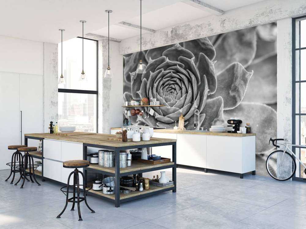 Närbild av saftiga växter