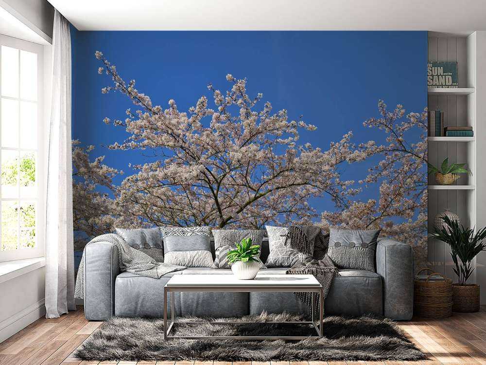 Blomning med blå himmel