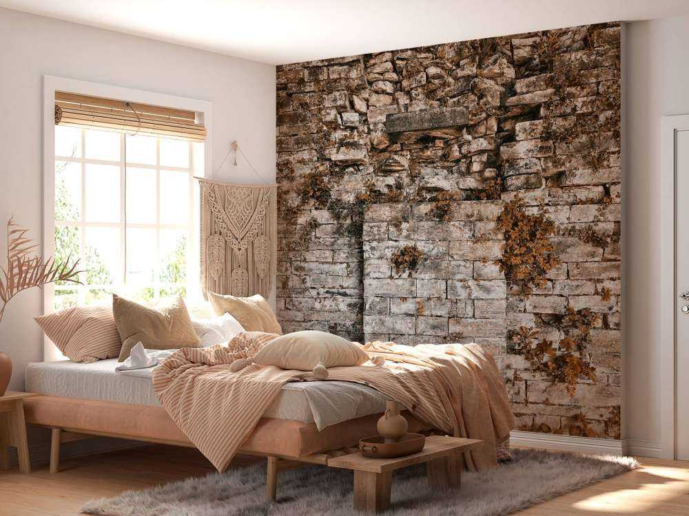 Vegetationsklædt væg om efteråret