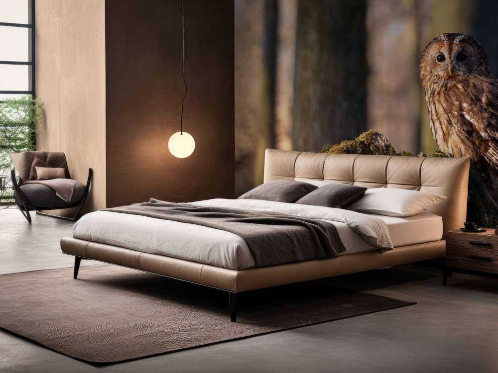 Lille ugle på et nedbrudt træ