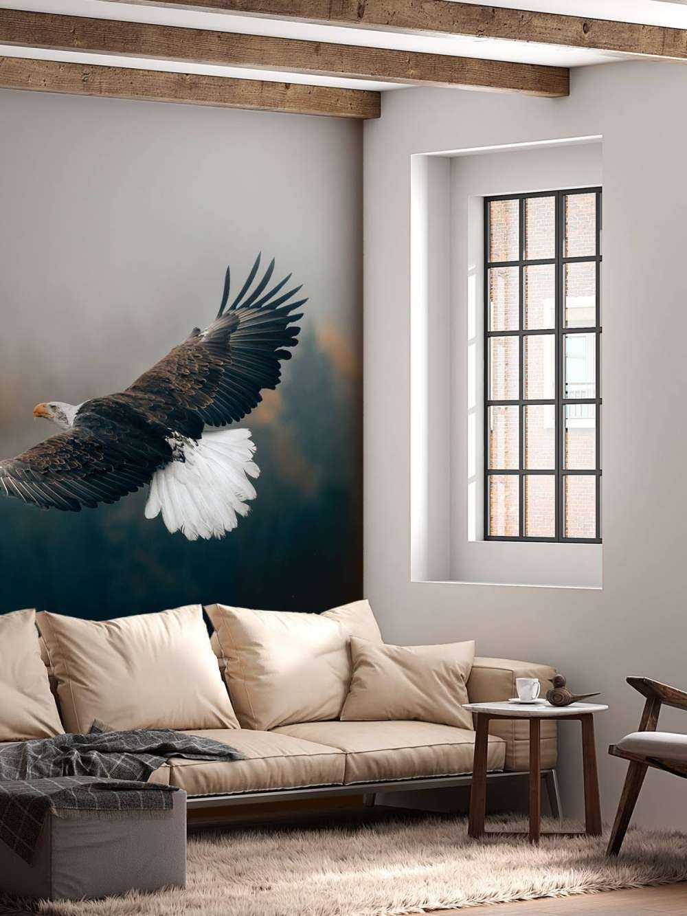 Bald eagle over skoven