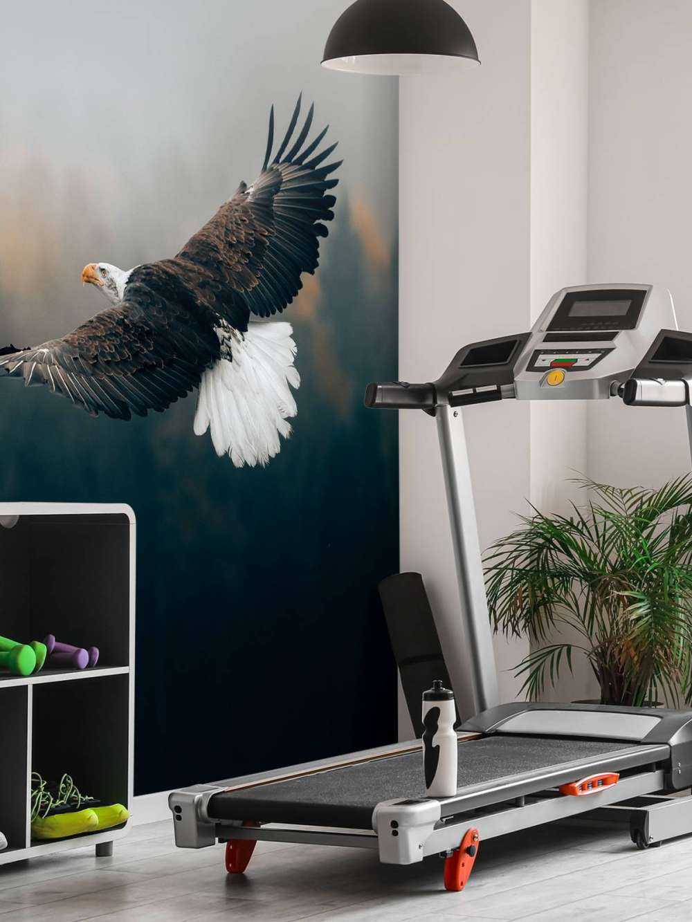 Bald eagle over skoven