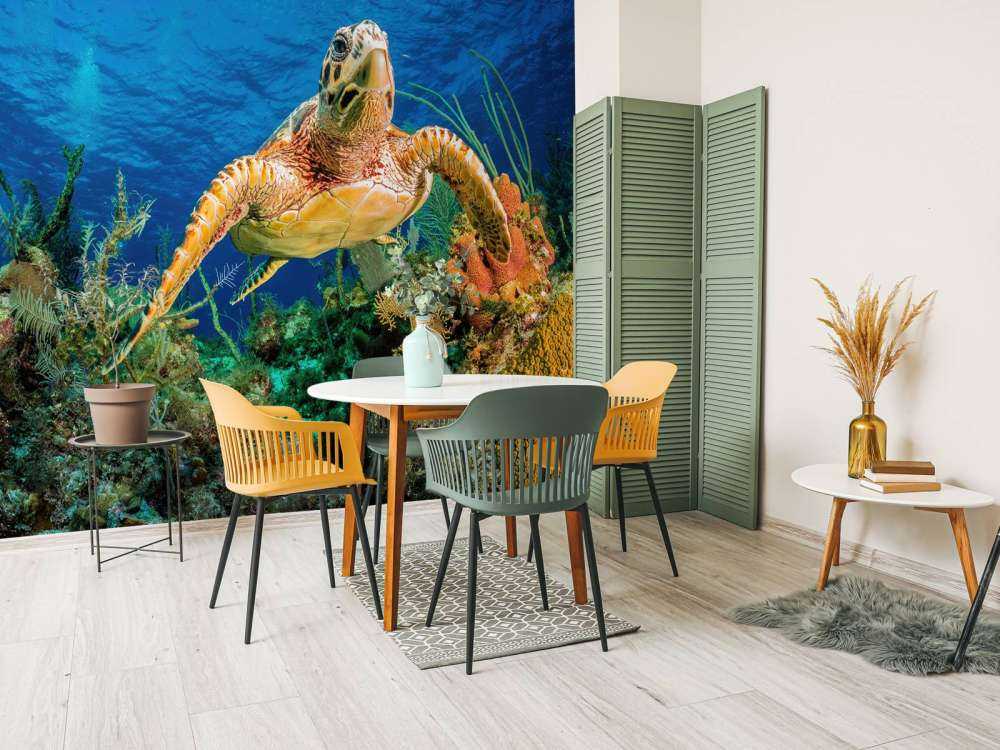 Hawksbill turtle swimming through Caribbean reef