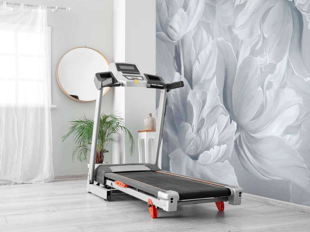 Store tulipaner hvide