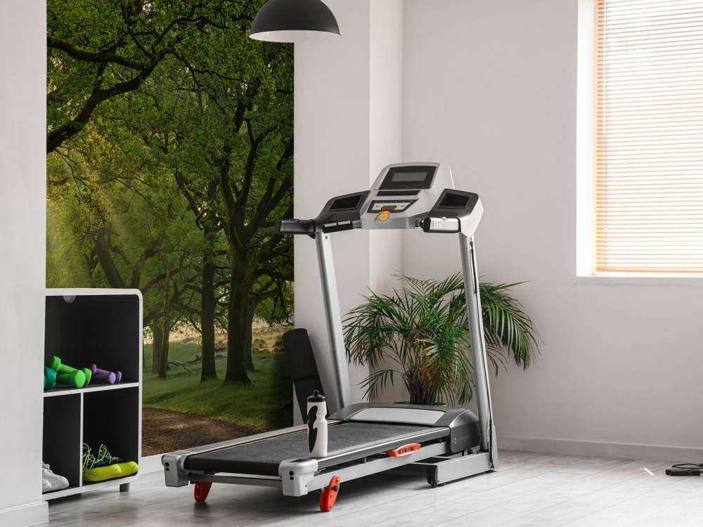 Sti mellem egetræer