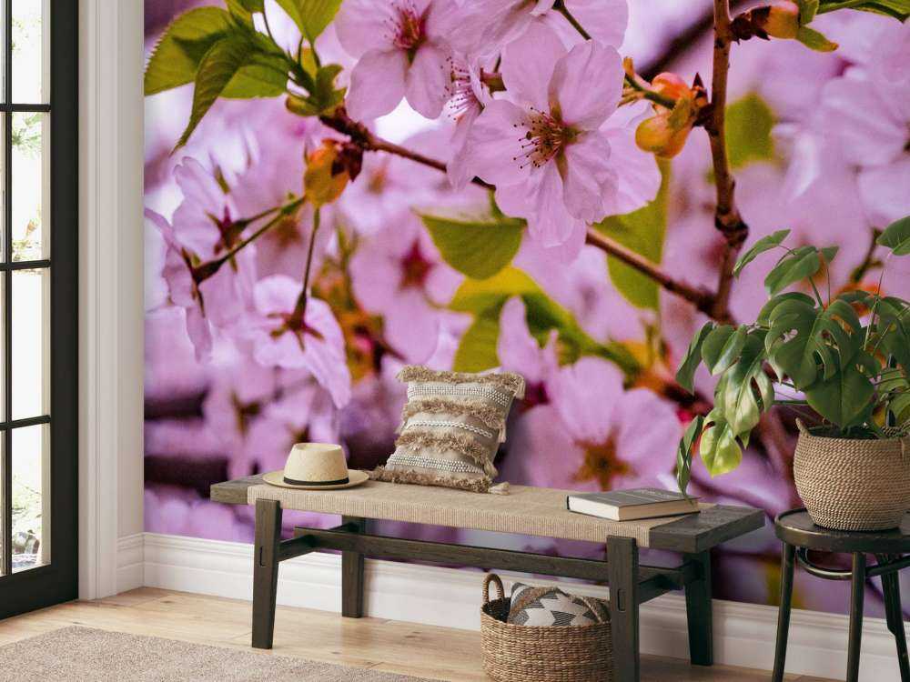 Lyserøde blomster med kronblade