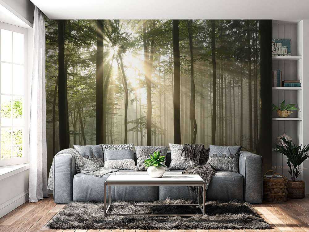 Efterårets løvskov