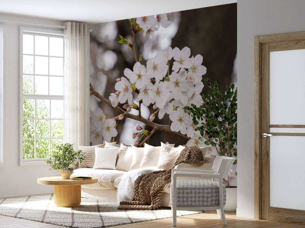 Hvide blomster