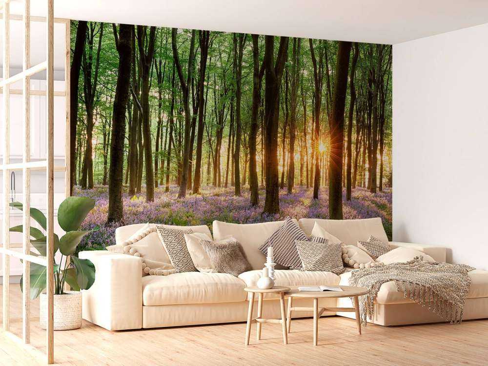 Skovsti ved solopgang