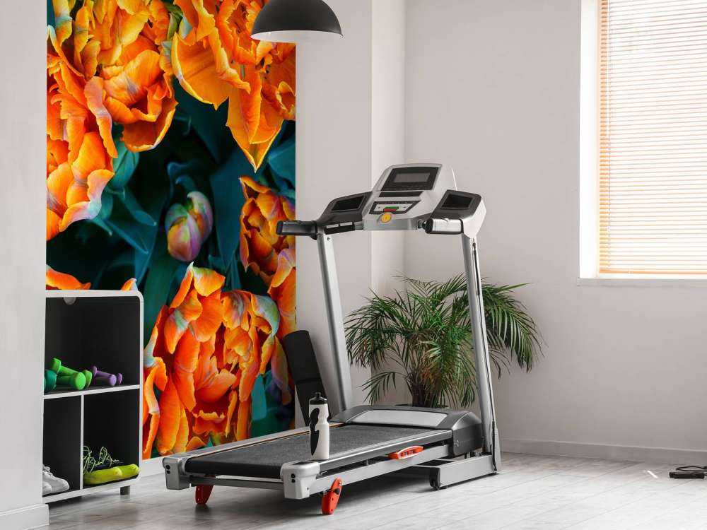 Nærbillede af orange tulipaner