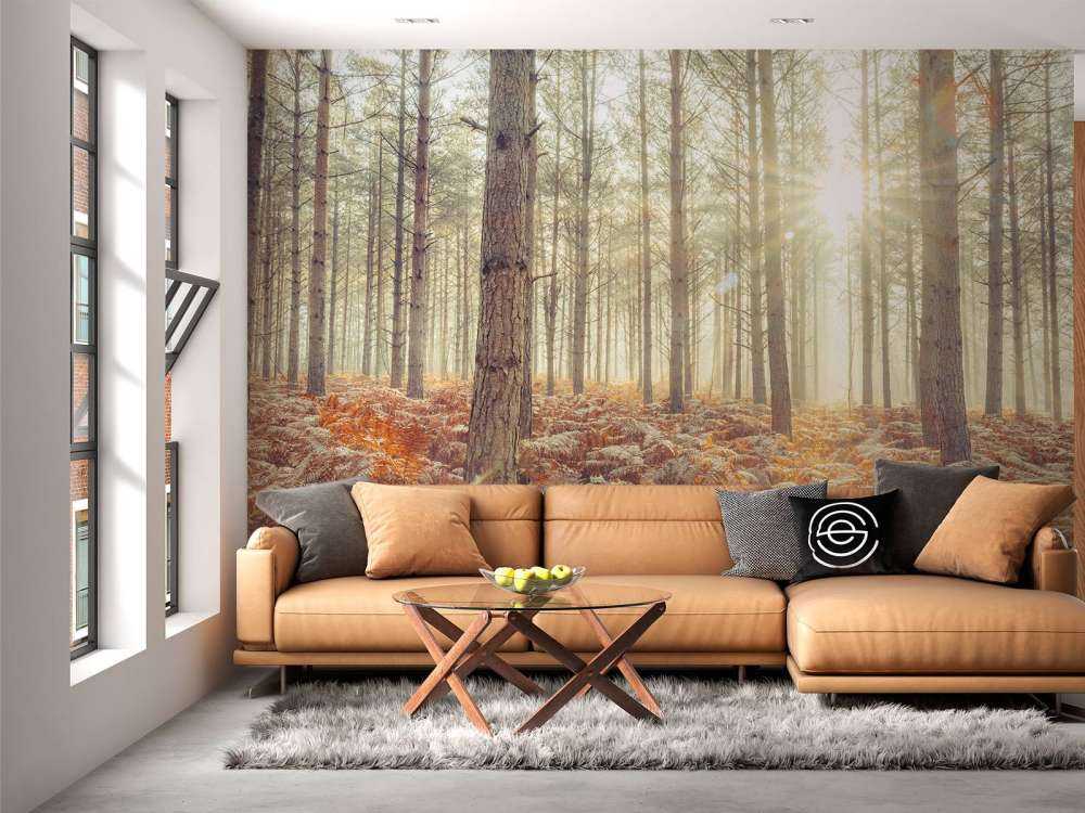 Solstråler gennem de kolde træer