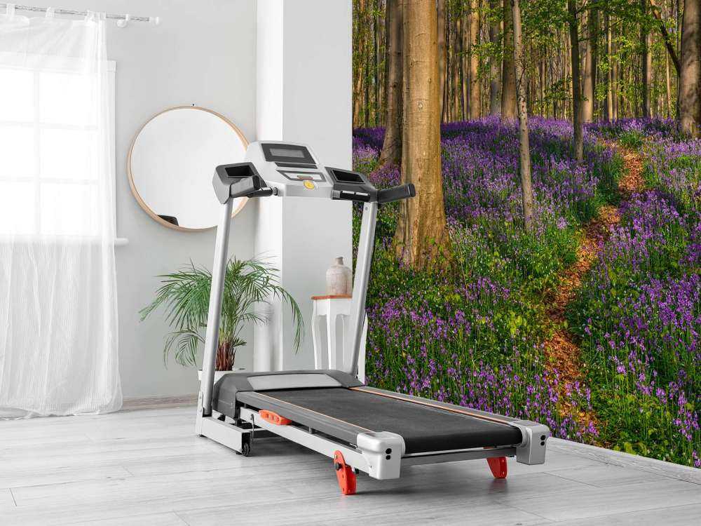 Sti gennem en skov med hyacinter