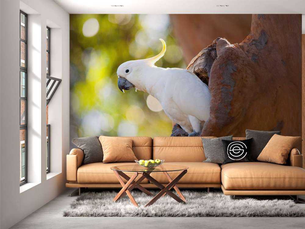 Kakadue i hulrum i træ
