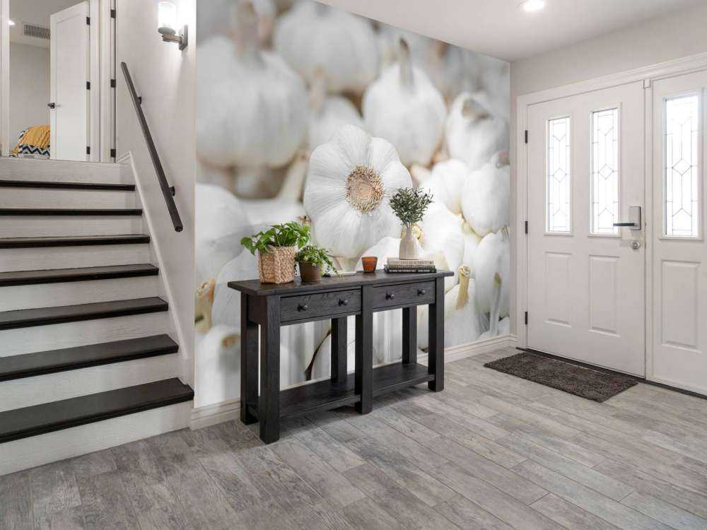 Nærbillede af hvidløg