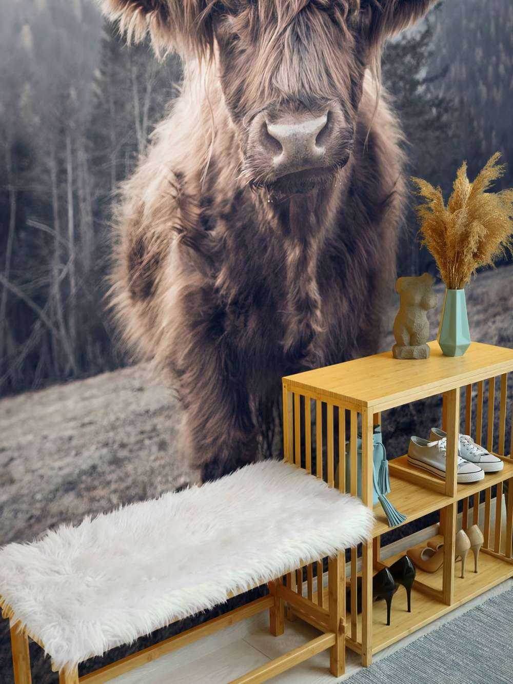 Scottish højlander ved skoven