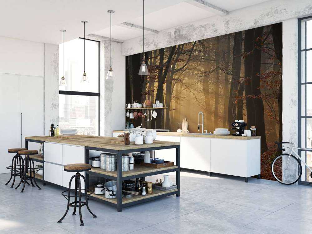 Mystisk efterårsskov