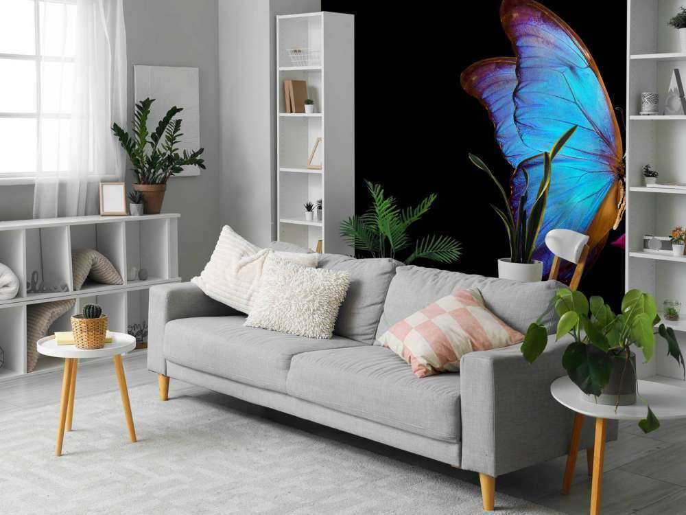 Sommerfugl på tulipan