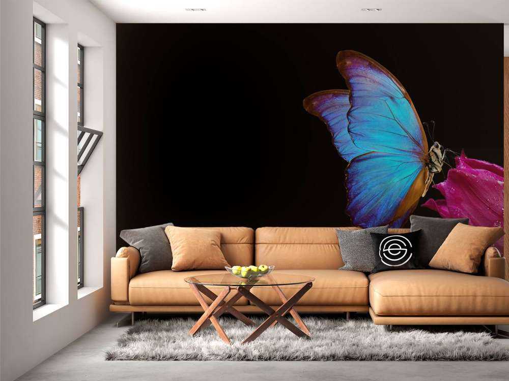 Sommerfugl på tulipan